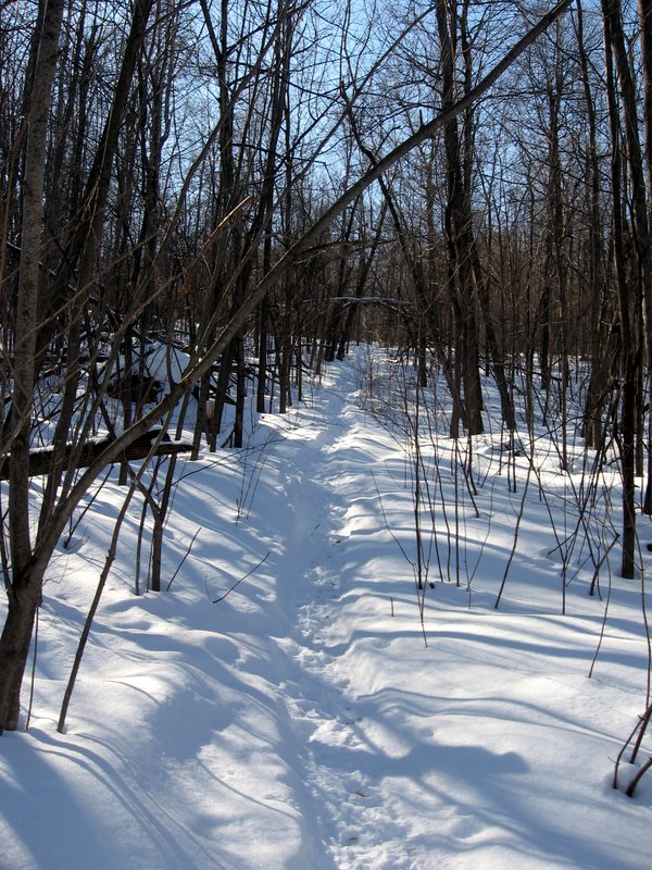 Pease Mountain Trail Finder